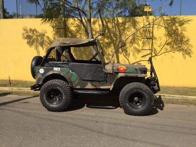 Jeep Willys lindo!