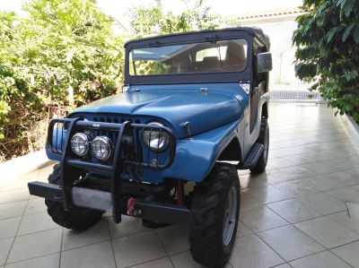 Jeep Ford Willys 1979 emp